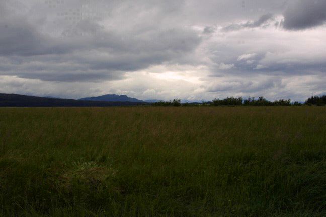IMG_0828.JPG