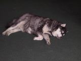 IMG_0735.JPG